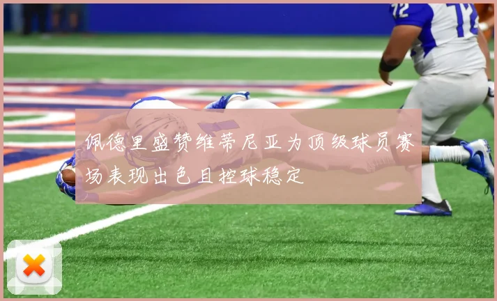 佩德里盛赞维蒂尼亚为顶级球员赛场表现出色且控球稳定