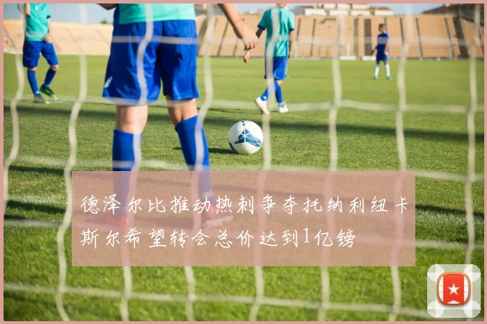 德泽尔比推动热刺争夺托纳利纽卡斯尔希望转会总价达到1亿镑