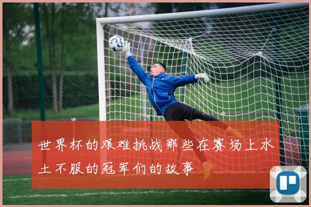 世界杯的艰难挑战那些在赛场上水土不服的冠军们的故事